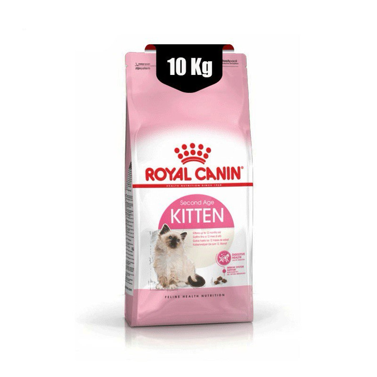 Kitten 10kg